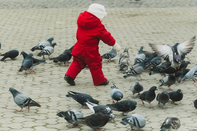 Bambino che insegue i piccioni sulla strada lastricata della città