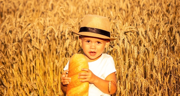 Bambino che mangia una pagnotta in un campo di grano. Messa a fuoco selettiva