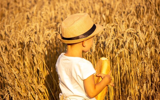 Bambino che mangia una pagnotta in un campo di grano. Messa a fuoco selettiva