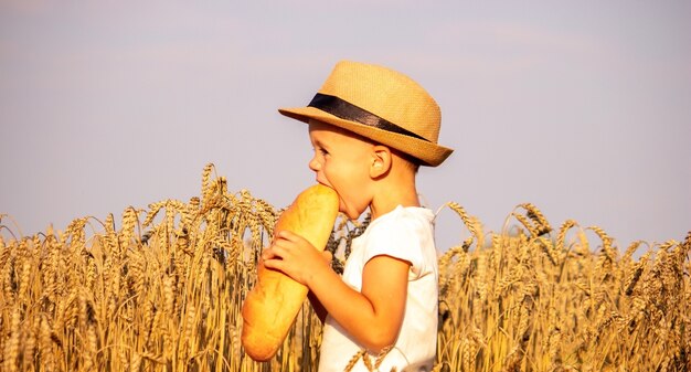 Bambino che mangia una pagnotta in un campo di grano. Messa a fuoco selettiva