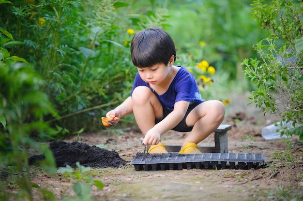 bambino che pianta le verdure in un vassoio