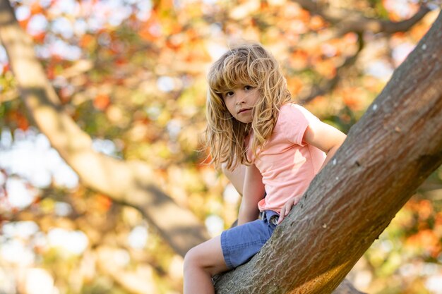 Bambino che si arrampica su un ramo di un albero bambino si arrampica su un albero