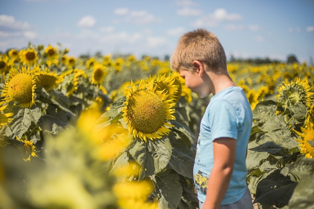 Bambino che si diverte nel campo primaverile verde sullo sfondo del cielo blu