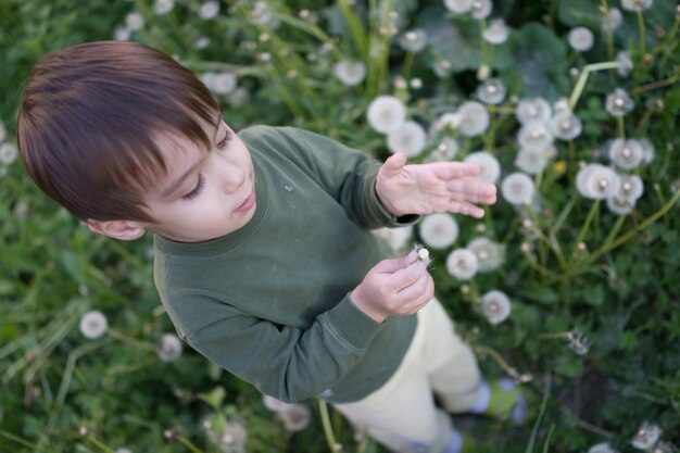 Bambino che soffia il fiore di tarassaco