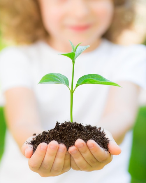 Bambino che tiene in mano una pianta giovane su sfondo verde primaverile Concetto di ecologia