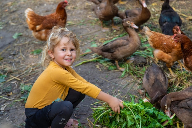 Bambino con anatre e polli Focalizzazione selettiva