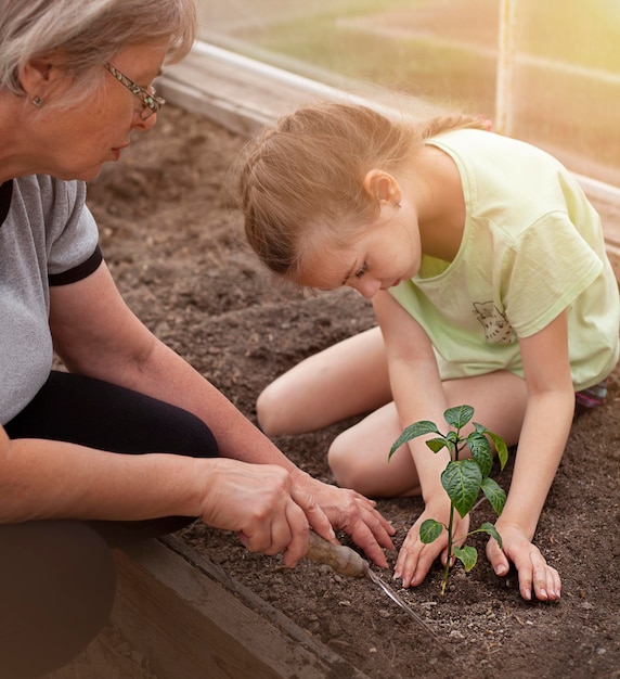 bambino con la nonna che pianta piante in una giornata di sole