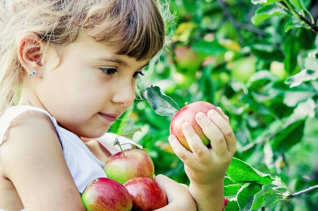 Bambino con le mele nel giardino estivo. Messa a fuoco selettiva.