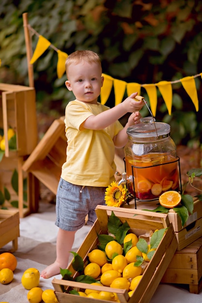 Bambino con limoni e limonata all'aperto al picnic