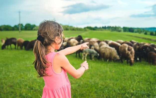 Bambino con pecore e capre nel prato