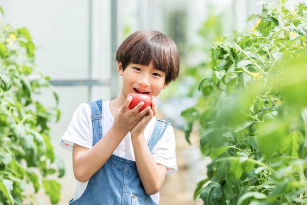 Bambino con un pomodoro che cammina in una serra