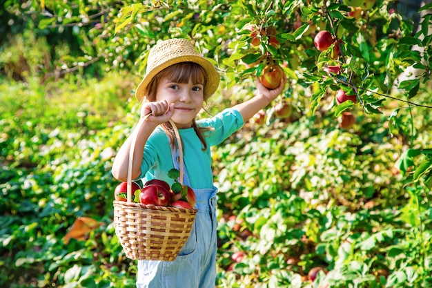 Bambino con una mela Messa a fuoco selettiva Giardino.