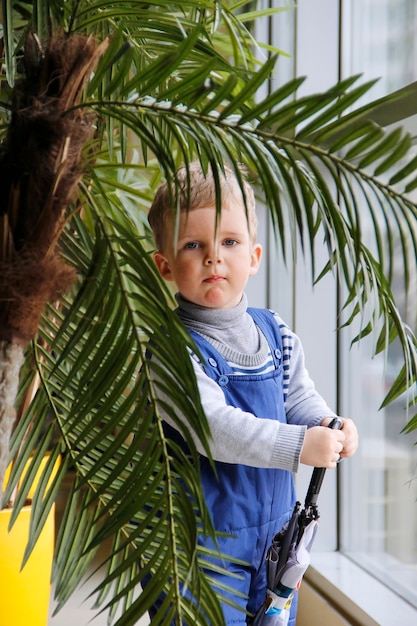 Bambino con una tuta blu dietro un albero verde vicino alla finestra