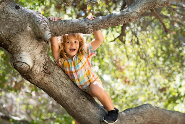 Bambino divertente arrampicarsi su un albero nel giardino bambino attivo che gioca all'aperto ritratto di ragazzo carino ragazzo sitti