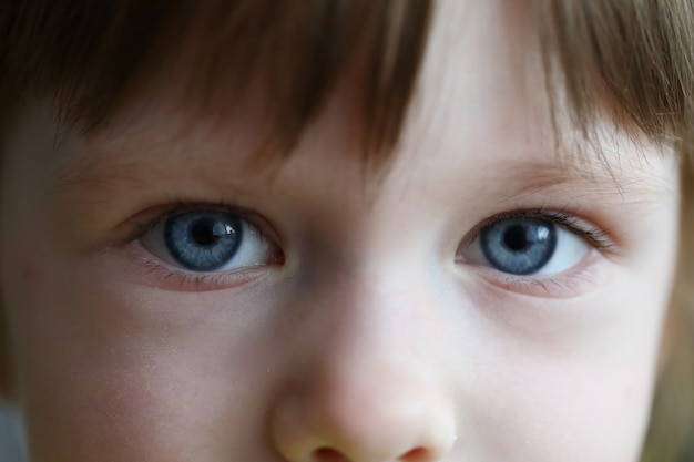 Bambino dolce che posa sul ritratto della macchina fotografica