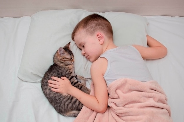 Bambino e un gatto grigio che dormono insieme su un lenzuolo bianco l'amicizia d'infanzia di un gattino e di un bambino Il concetto di animali domestici