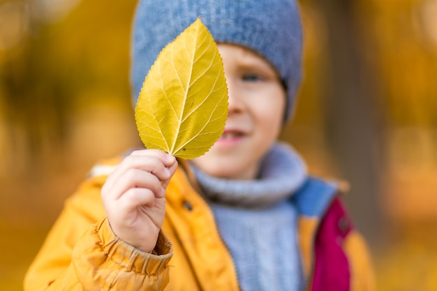 Bambino felice che gioca con le foglie gialle cadute durante una passeggiata in autunno nel parco.