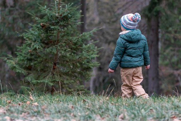Bambino in cappello lavorato a maglia e giacca calda cammina attraverso la pineta il giorno d'autunno Vista posteriore Bambino che cammina fuori