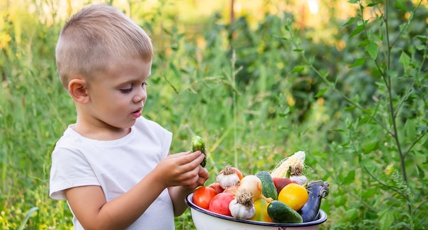 Bambino in giardino con verdure nelle sue mani Messa a fuoco selettiva