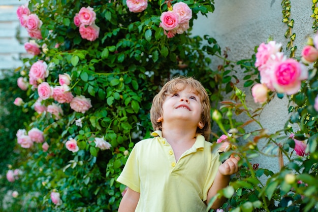 Bambino in giardino di rose all'aperto. Ragazzo bambino primavera ed estate sdraiato sull'erba.