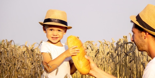 Bambino in un campo di grano con il pane in mano