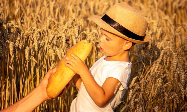 Bambino in un campo di grano con il pane in mano