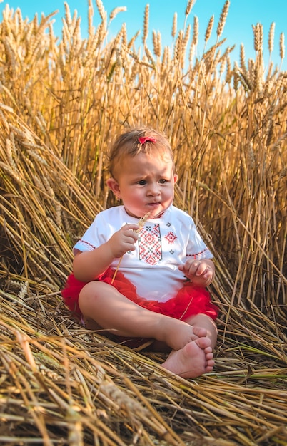 Bambino in un campo di grano. In vyshyvanka, il concetto del giorno dell'indipendenza dell'Ucraina. Messa a fuoco selettiva. Ragazzo.