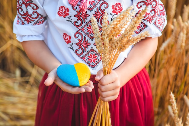 Bambino in un campo di grano. In vyshyvanka, il concetto del giorno dell'indipendenza dell'Ucraina. Messa a fuoco selettiva.