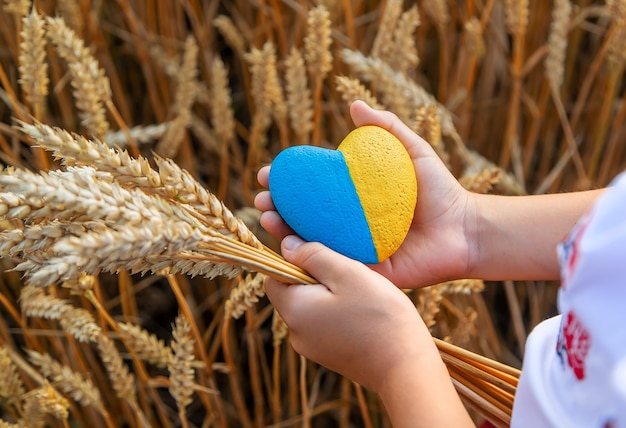 Bambino in un campo di grano. In vyshyvanka, il concetto del giorno dell'indipendenza dell'Ucraina. Messa a fuoco selettiva.