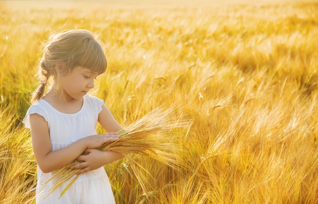 Bambino in un campo di grano. messa a fuoco selettiva. natura