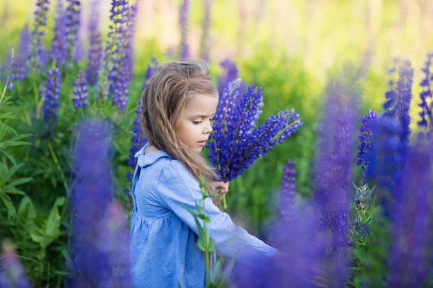 Bambino in un campo di lupini