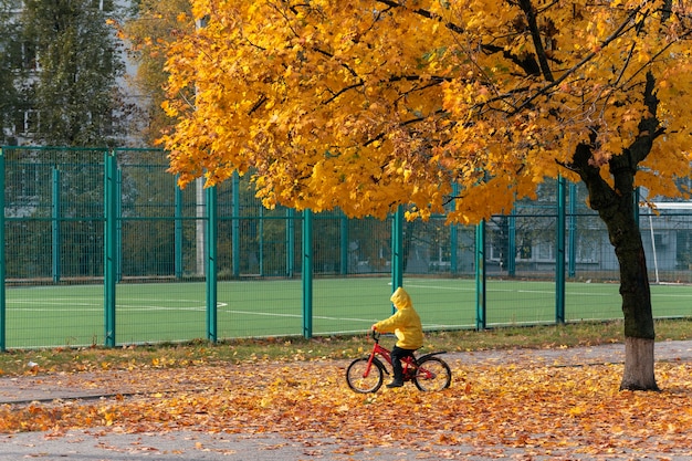 Bambino in un impermeabile giallo su una bicicletta sotto un grande albero giallo. Giornata di sole autunnale.