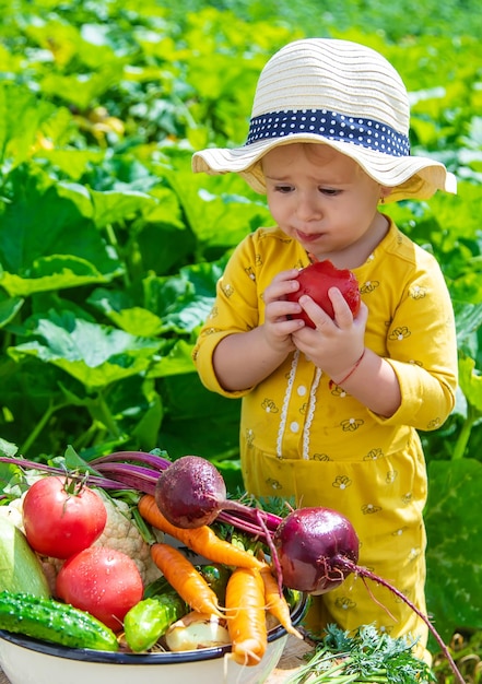 Bambino nel fuoco selettivo dell'orto