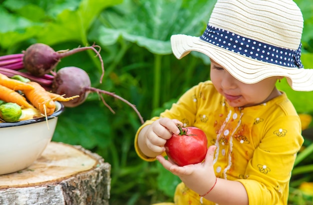 Bambino nel fuoco selettivo dell'orto