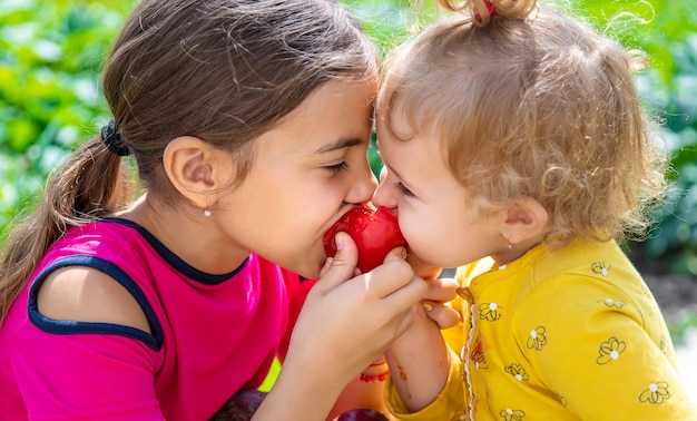 Bambino nel fuoco selettivo dell'orto