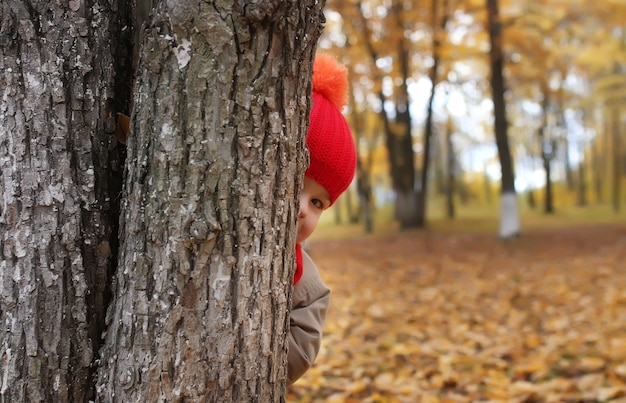 Bambino nel parco autunnale nascosto dietro l'albero e sorride