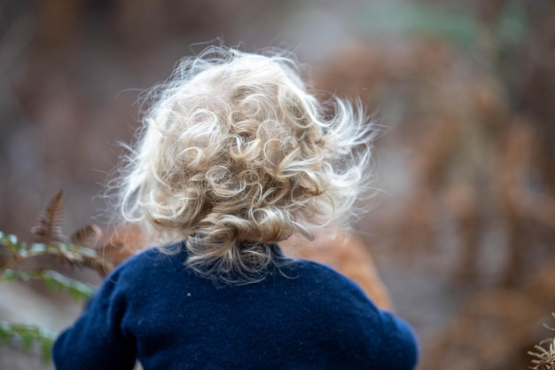 bambino nella foresta selvaggia che cammina insieme in un parco in america