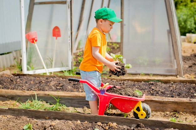 Bambino piantato nel giardino