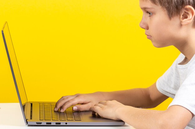 Bambino seduto al tavolo e utilizzando il computer portatile