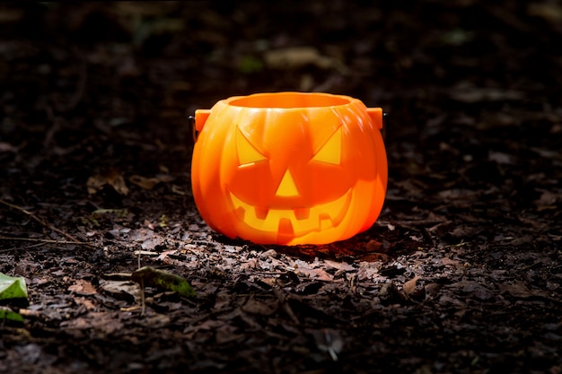 Bambola zucca di Halloween posta a terra.