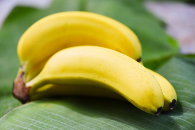 Banana sui precedenti della foglia della banana nella frutta di estate