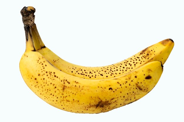 Banane vettore