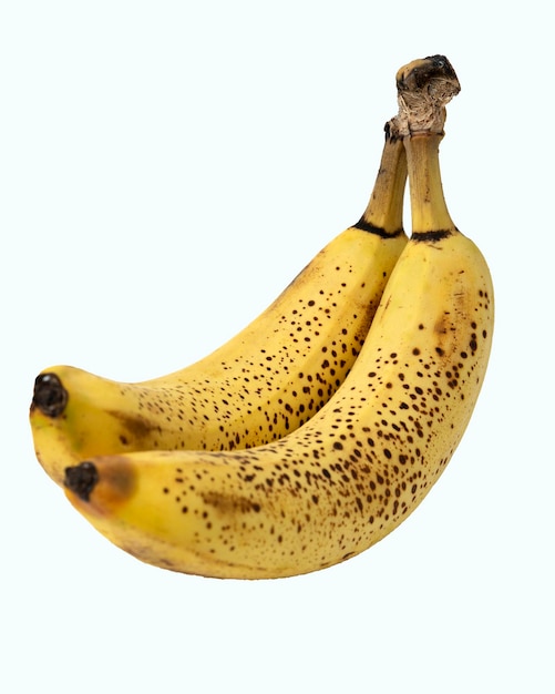 Banane vettore