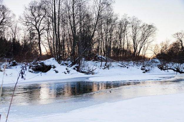 Banchi di neve del fiume della foresta