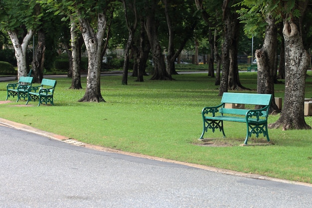 Banchi verdi al lato della passerella nel parco.