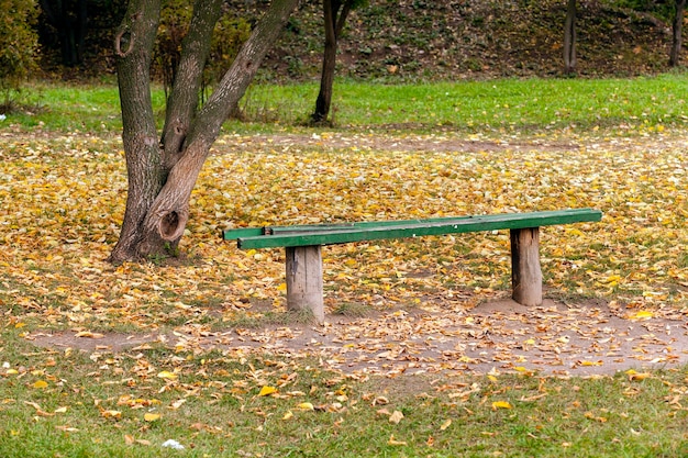 Banco di legno nel parco