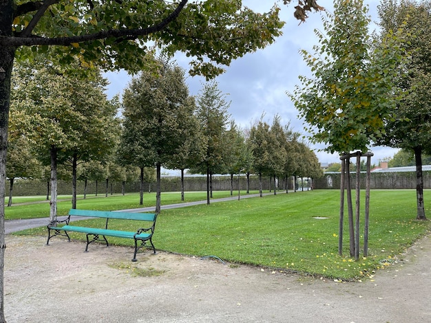 Banco vuoto nel parco autunnale sotto il cielo grigio cupo