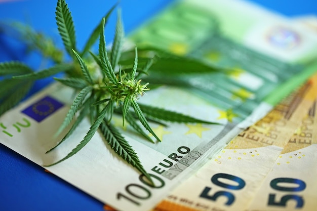 Banconota in euro e fiori di marijuana e droga hashish. Legalizzazione di marijuan. Entrate da prodotti realizzati con il concetto di cannabis.