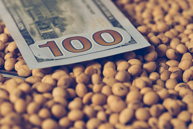 Banconote e monete in dollari e concetto di valore commoditi fagioli di soia