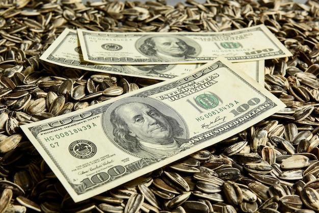 Banconote in dollari e semi di girasole oleosi Concetto di valore delle merci